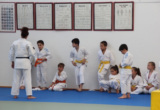 img 8071 26936238033 o