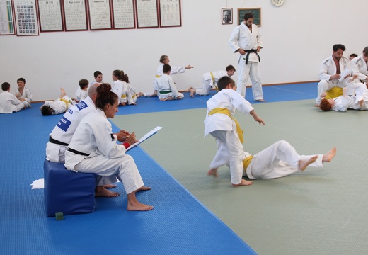 img 8086 27510338906 o