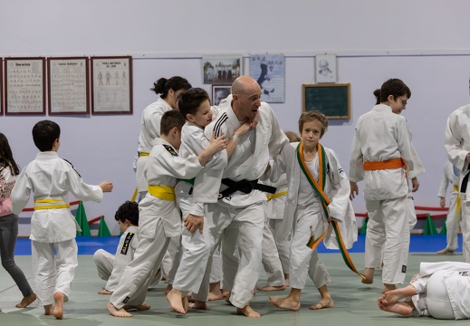 IMG 3617