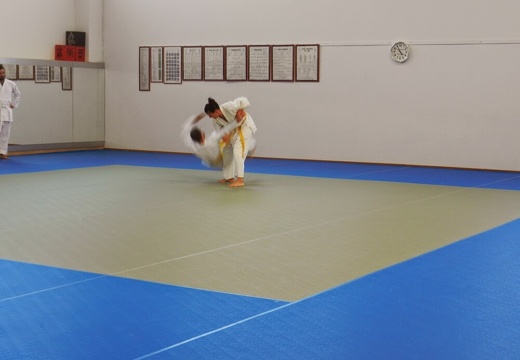dscn7401 27229983146 o