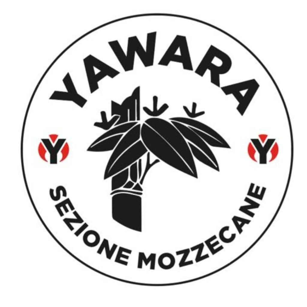 Logo sezione Mozzecane